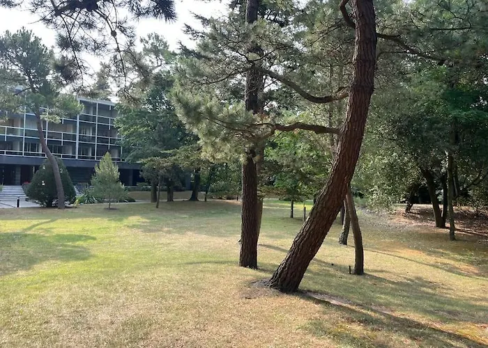 Vue : La Canopée à *